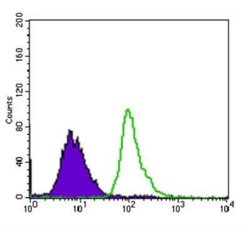53BP1 Antibody (6B3E10) - Azide and BSA Free, Novus Biologicals 0.1 mL;